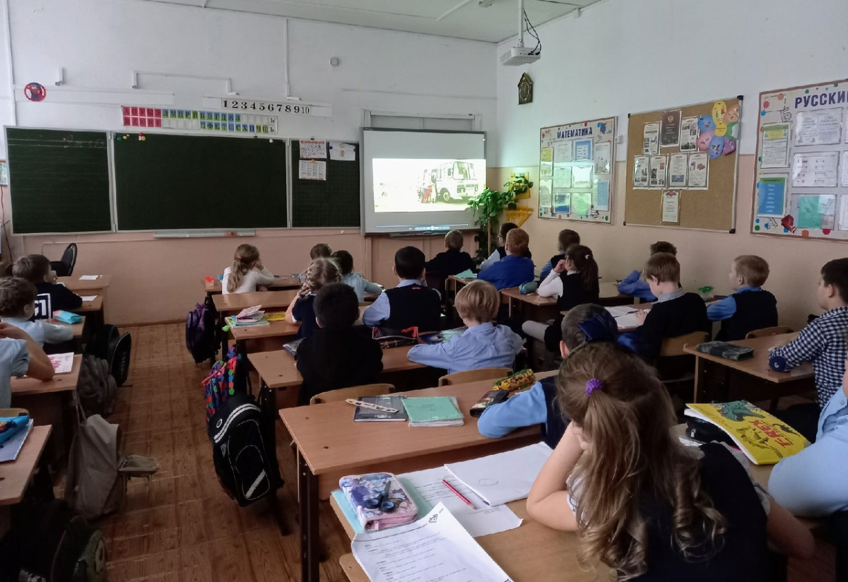Постер к социальной практике: Помощь бездомным животным