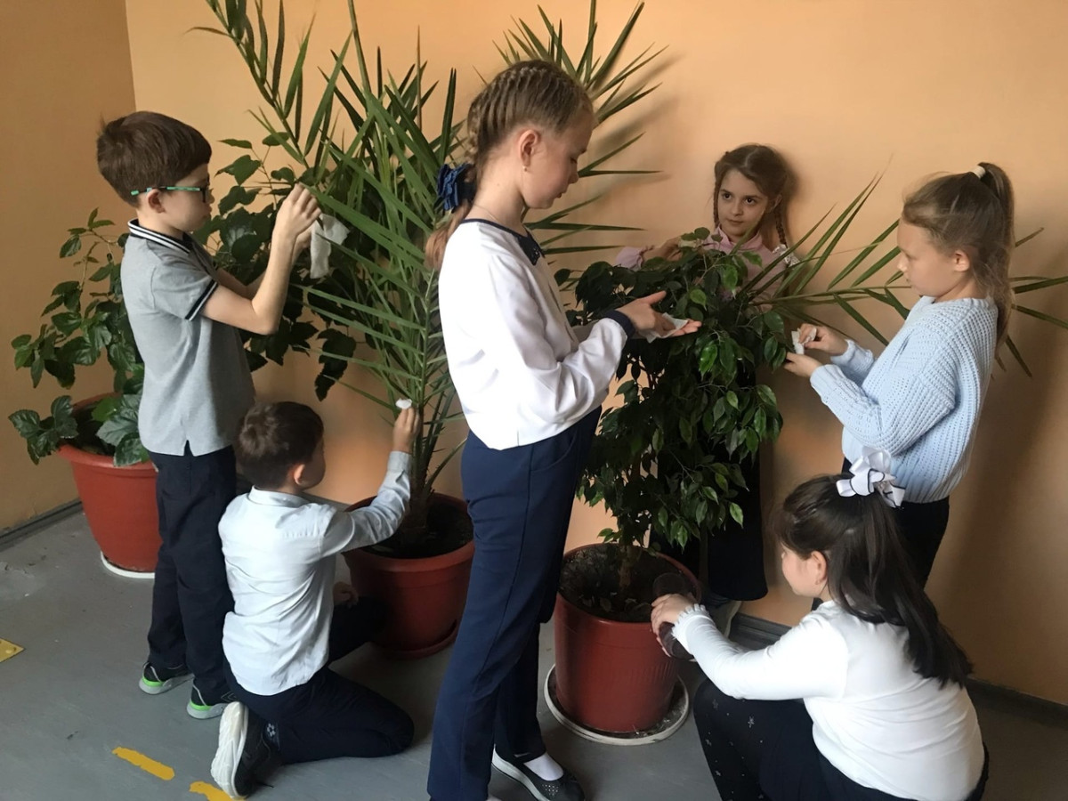 Постер к социальной практике: Экология снаружи - экология внутри