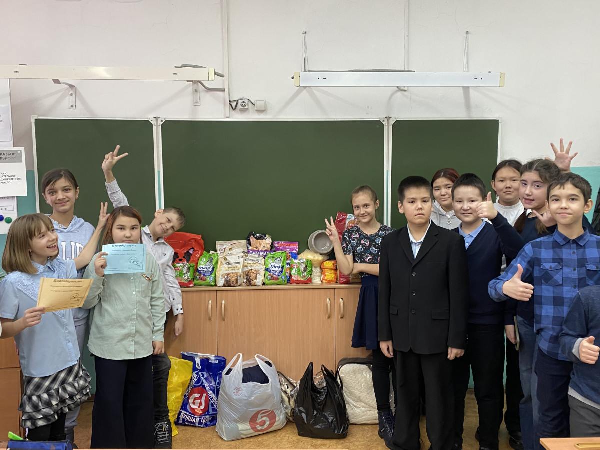 Постер к социальной практике: Помоги бездомным животным