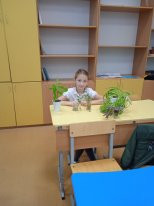 Постер к социальной практике: Украсим класс цветами