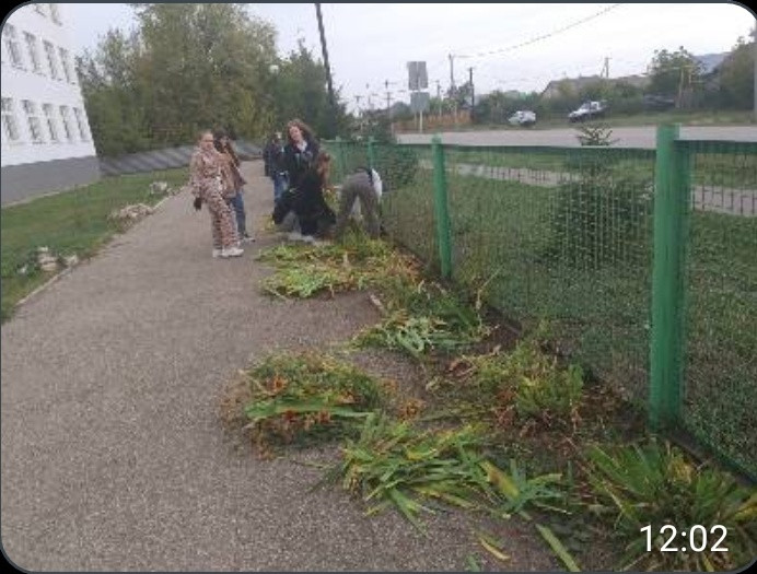 Постер к социальной практике: Субботник на пришкольной территории