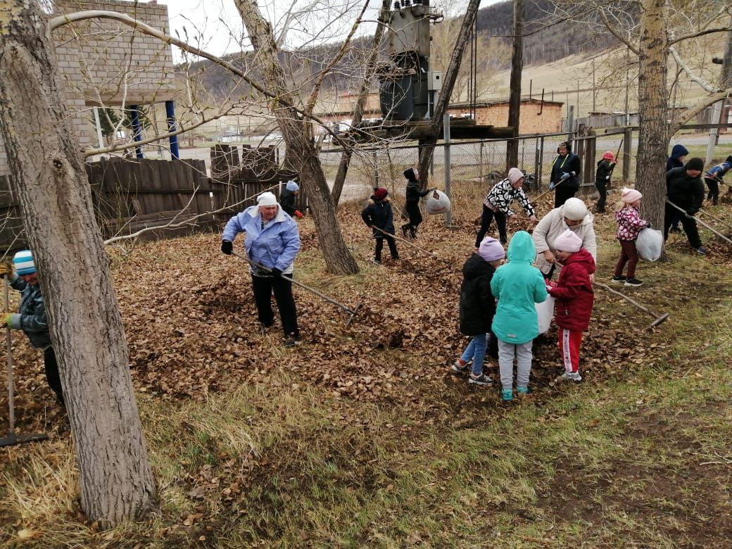 Постер к социальной практике: Чистый двор