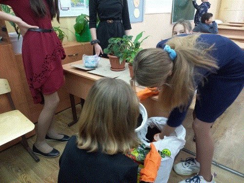 Постер к социальной практике: Зеленый десант