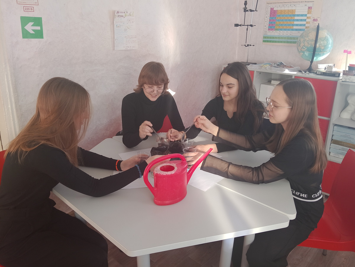 Постер к социальной практике: Новый сад