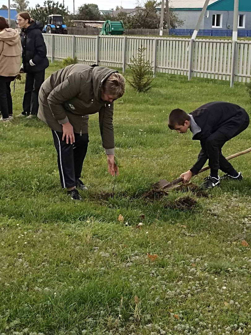 Постер к социальной практике: Созидательный труд