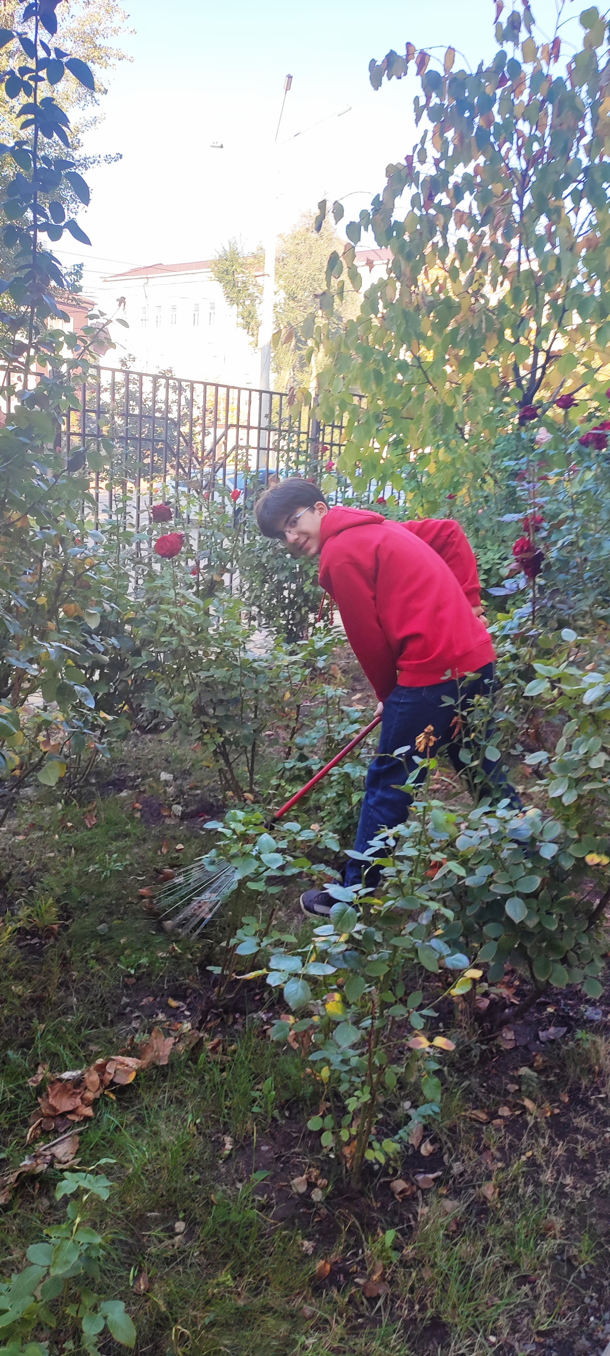 Постер к социальной практике: У коллектива - большая сила!