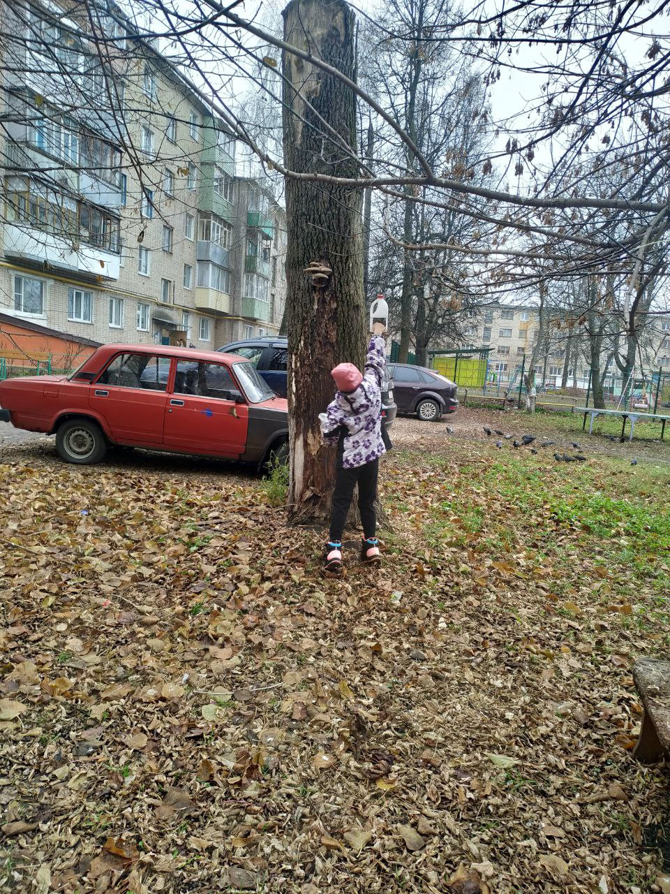 Постер к социальной практике: За руку с богом