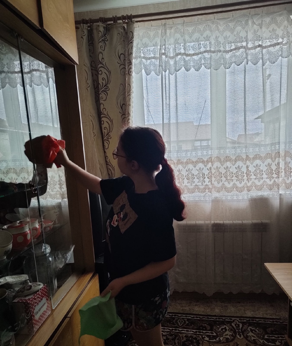 Постер к социальной практике: Чистый дом