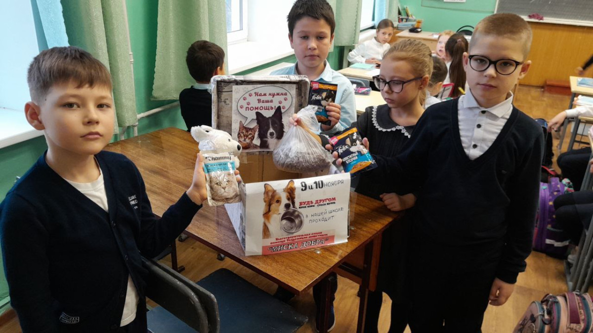 Постер к социальной практике: Акция "Миска добра"