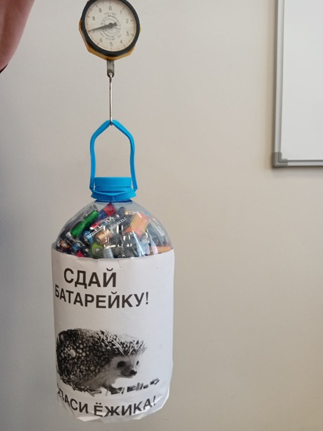 Постер к социальной практике: Помощь класса приюту для животных