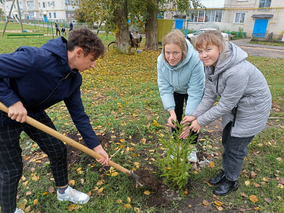 Постер к социальной практике: озеленение поселка