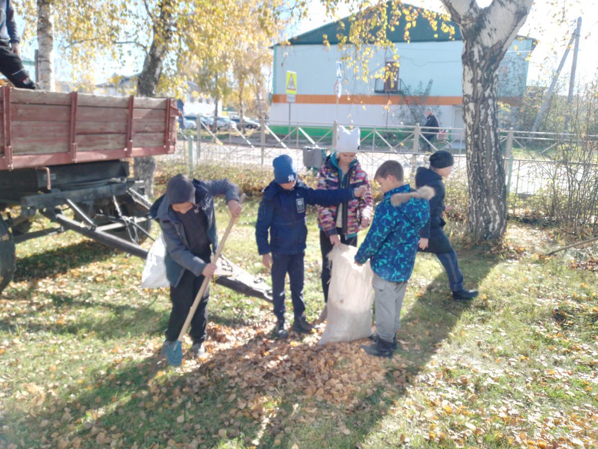 Постер к социальной практике: Листья жёлтые, скажите что вам снится.
