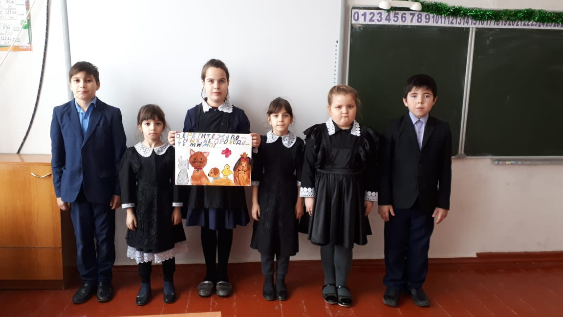 Постер к социальной практике: "Помоги бездомным животным",