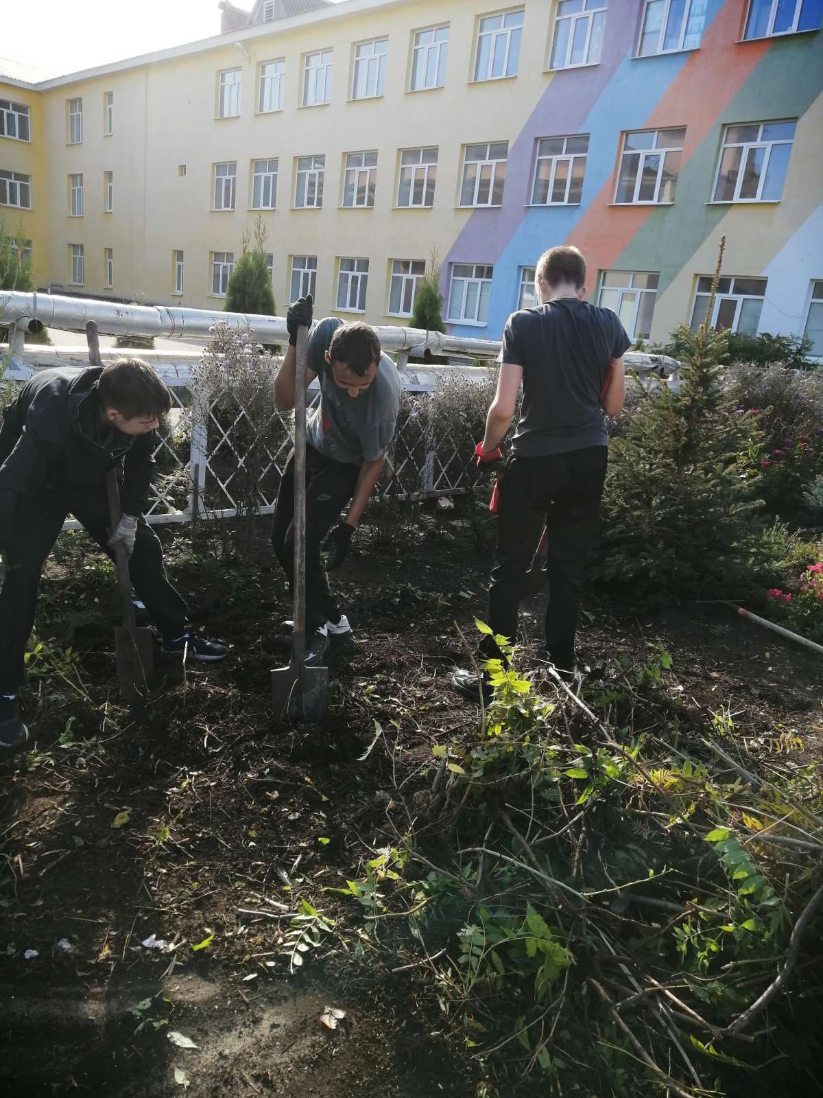 Постер к социальной практике: Субботник "Сажаем и формируем кустарники"