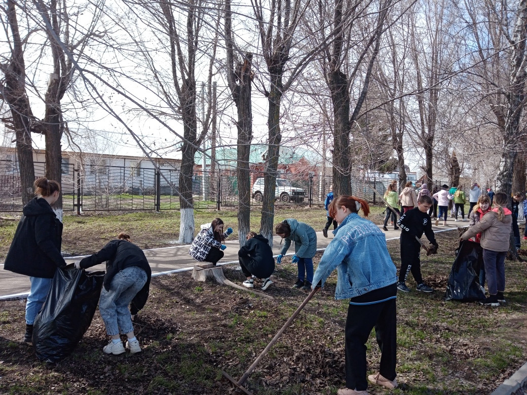 Постер к социальной практике: Акция "Чистый двор"