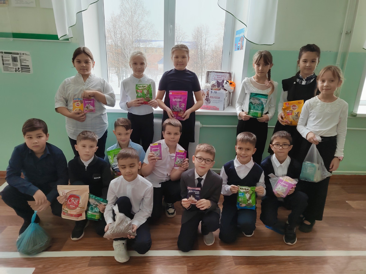 Постер к социальной практике: Помогаем  как можем