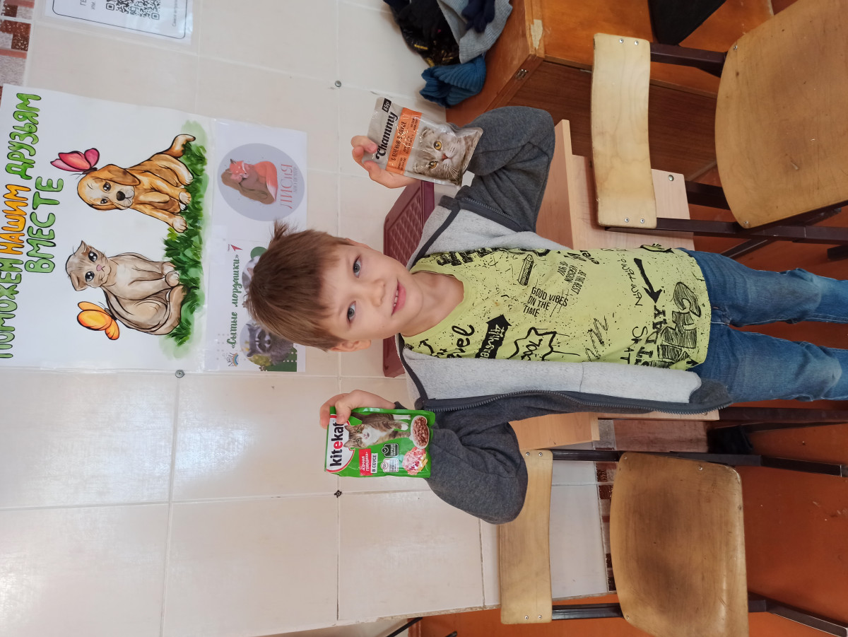 Постер к социальной практике: Поможем нашим братьям меньшим!