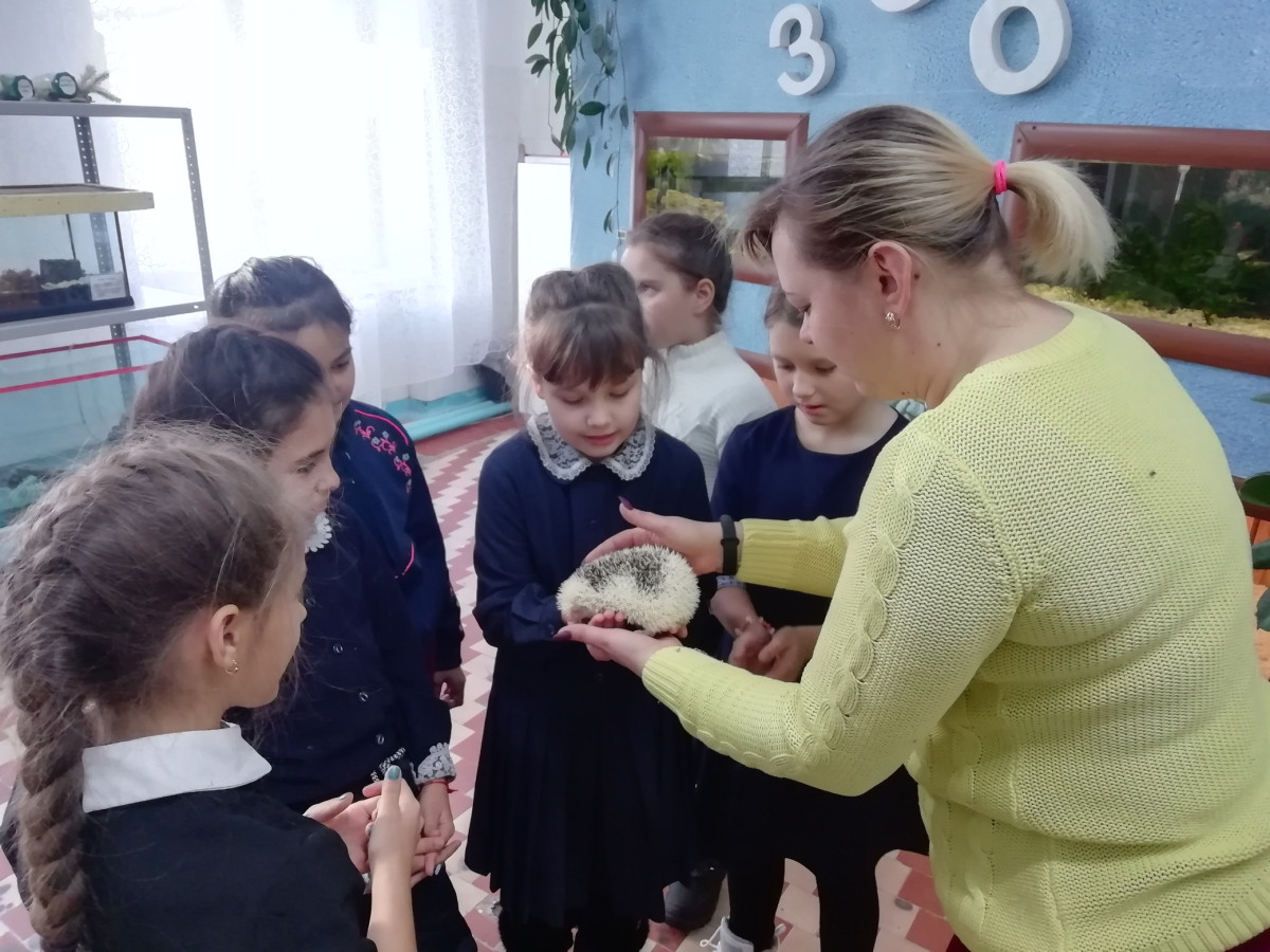 Постер к социальной практике: Экология снаружи