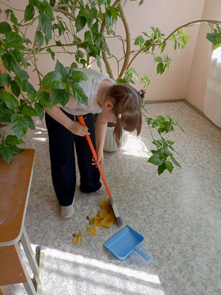 Постер к социальной практике: Повсюду чистота и порядок