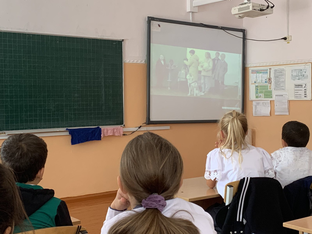 Постер к социальной практике: Доброе дело питает и душу и тело