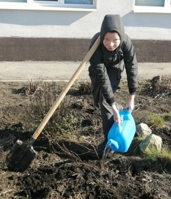 Постер к социальной практике: Ремонт аллей