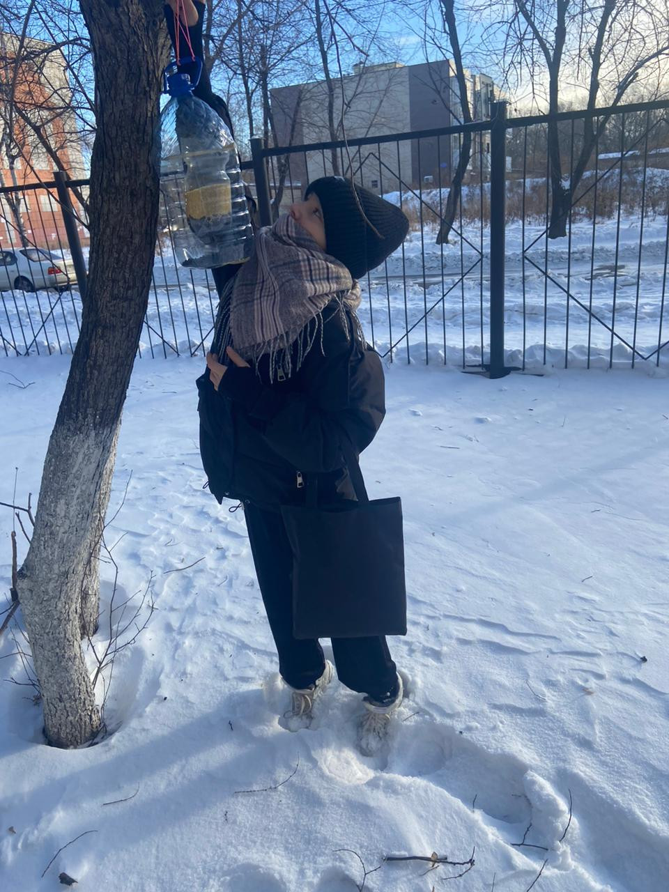 Постер к социальной практике: Помощь зимующим птицам