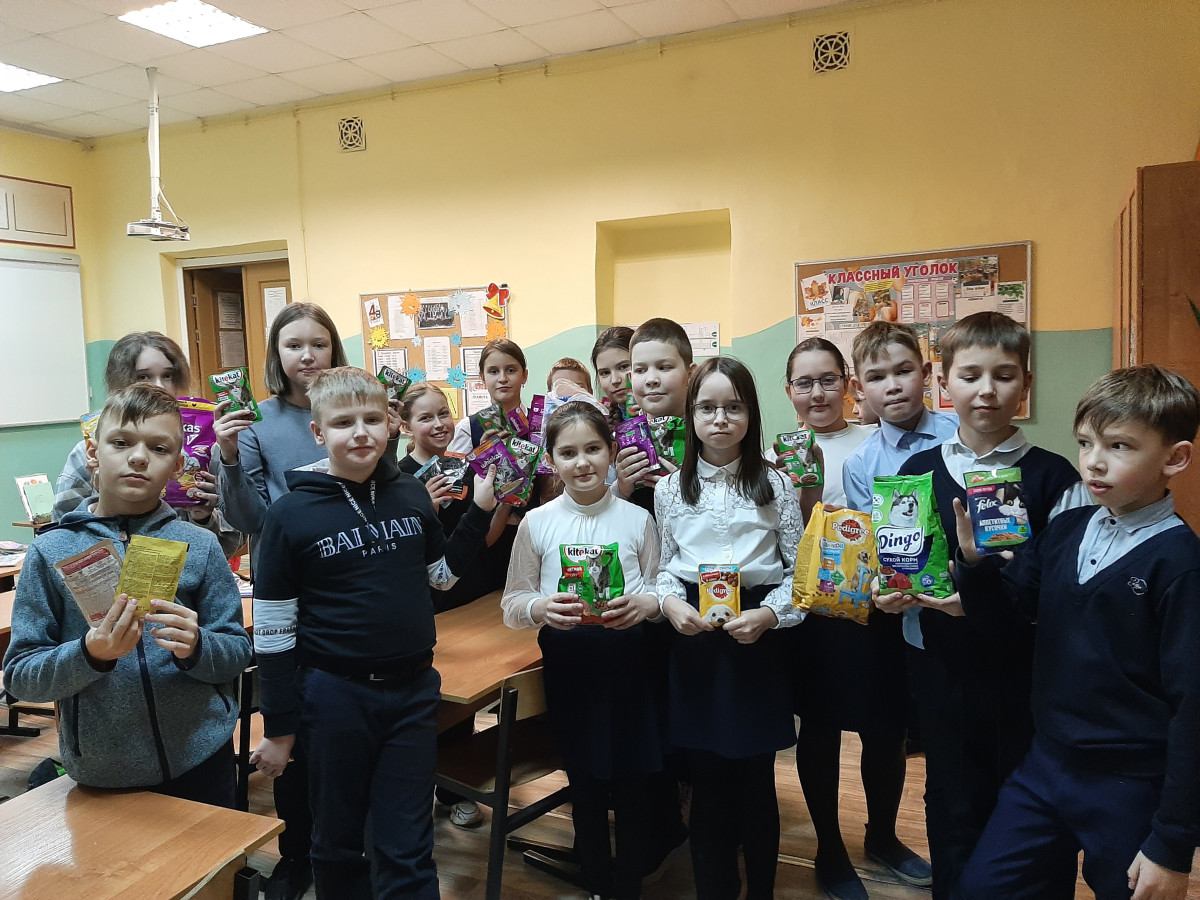 Постер к социальной практике: Поможем животным