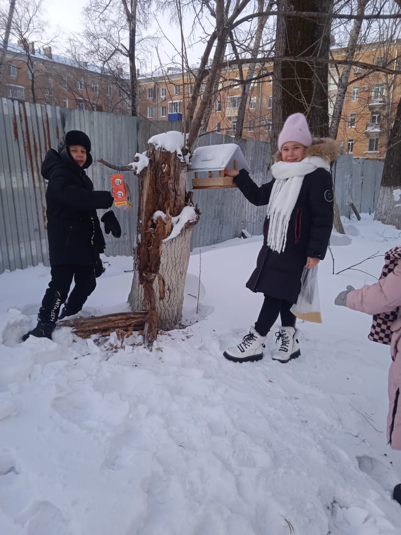 Постер к социальной практике: Помоги зимующей птице