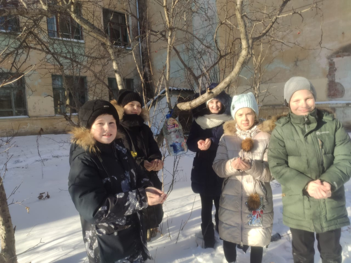 Постер к социальной практике: Помоги зимующей птице.