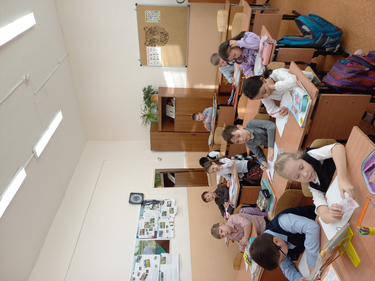 Постер к социальной практике: Благородство