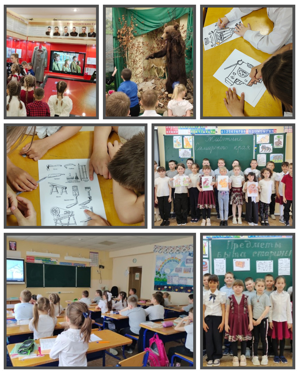 Постер к социальной практике: НЕДЕЛЯ КРАЕВЕДЕНИЯ