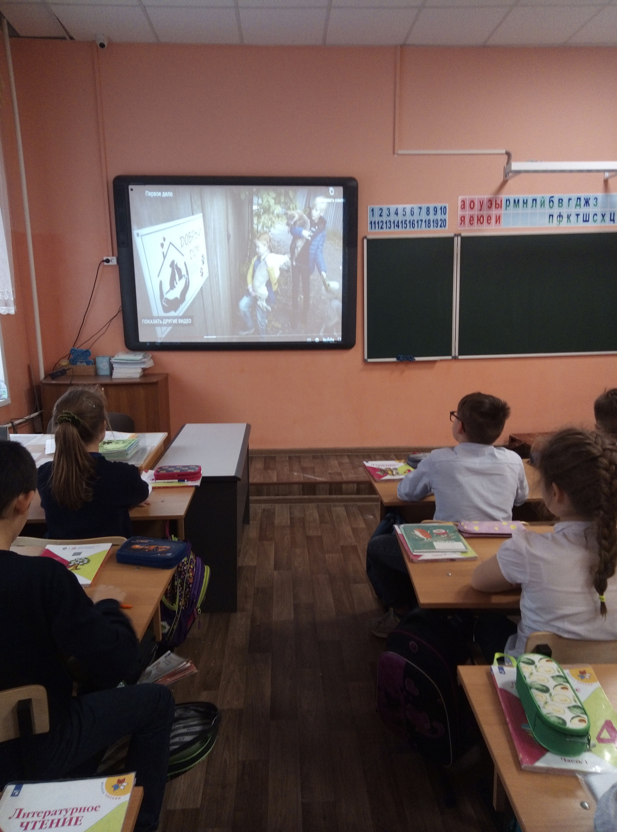 Постер к социальной практике: Помощь бездомным животным.