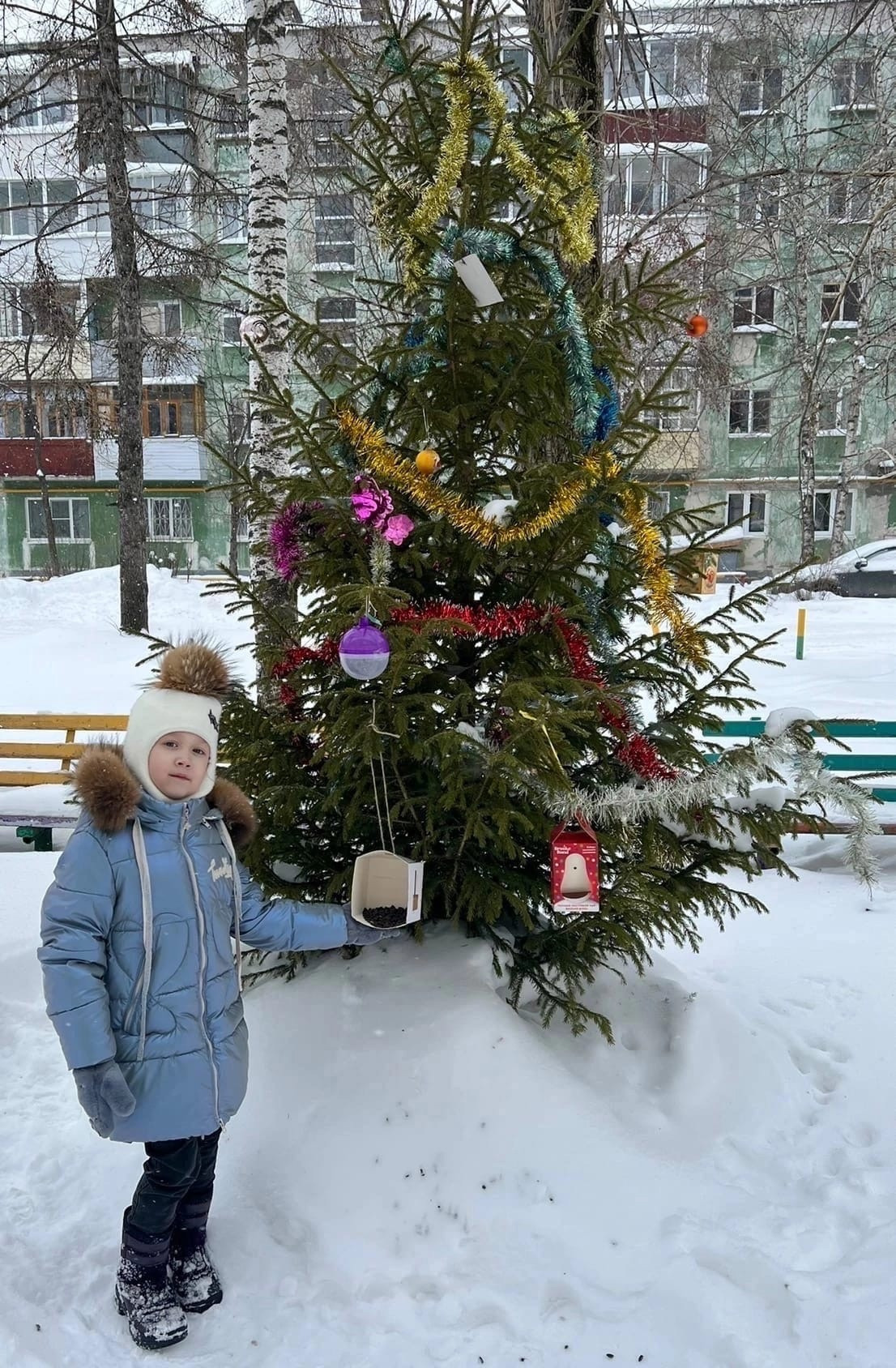 Постер к социальной практике: Помощь пернатым друзьям.