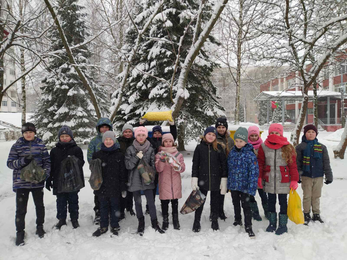 Постер к социальной практике: Добрые хозяева своего двора
