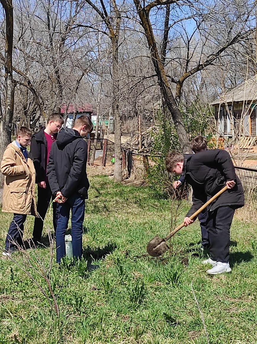 Постер к социальной практике: Созидательный труд