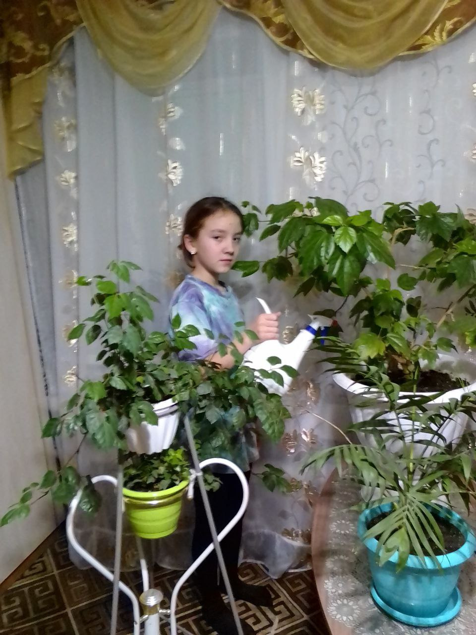 Постер к социальной практике: Экология в современном мире