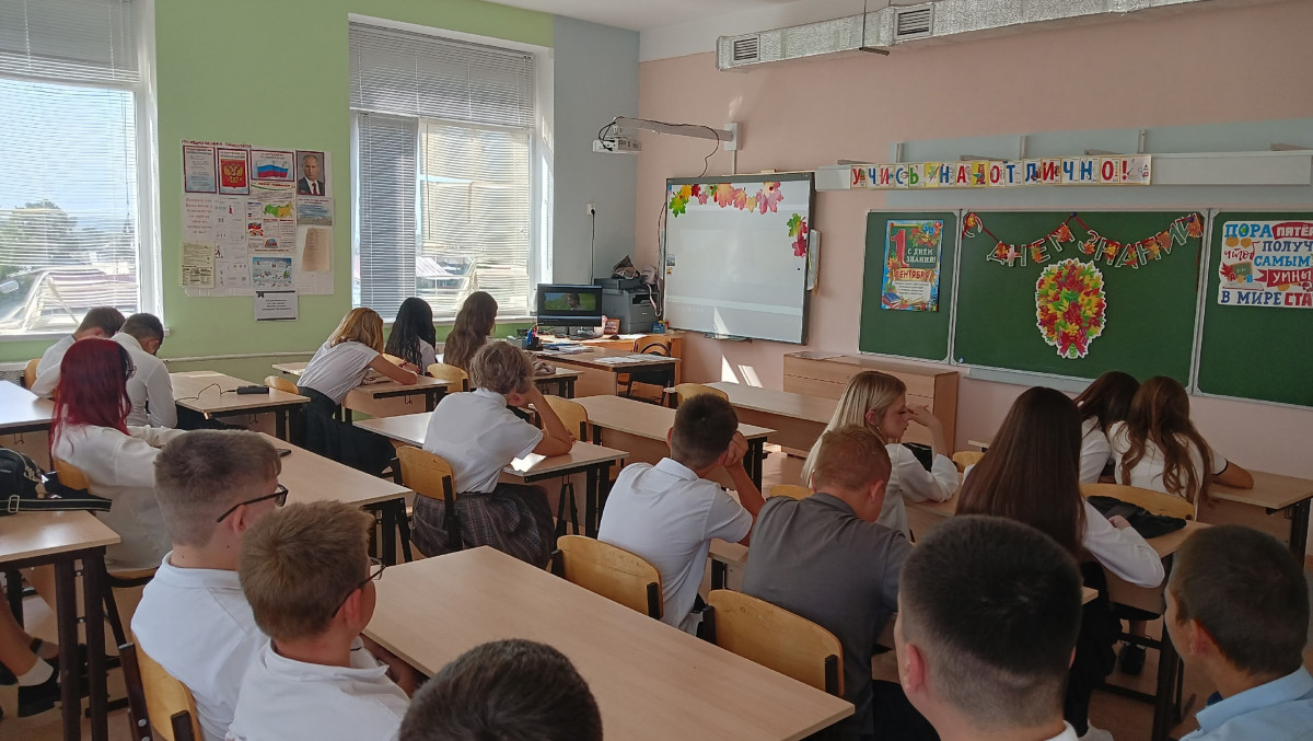 Постер к социальной практике: Помощь братьям нашим меньшим