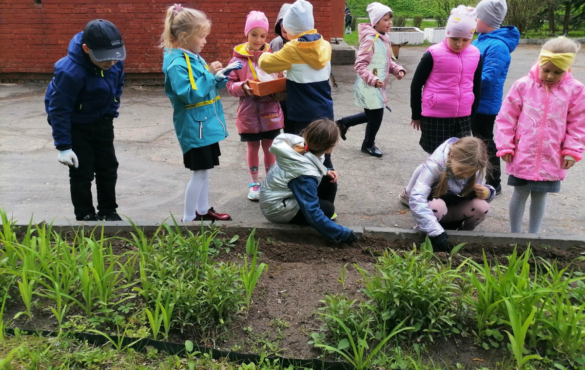 Постер к социальной практике: Друзья природы