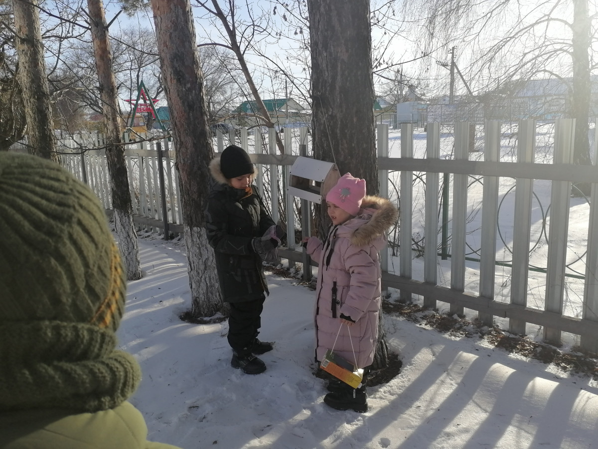 Постер к социальной практике: Помощь зимующим птицам!