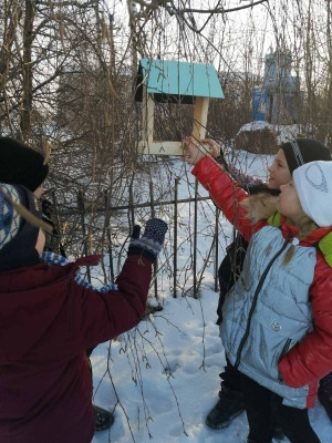 Постер к социальной практике: Покорми птиц зимой