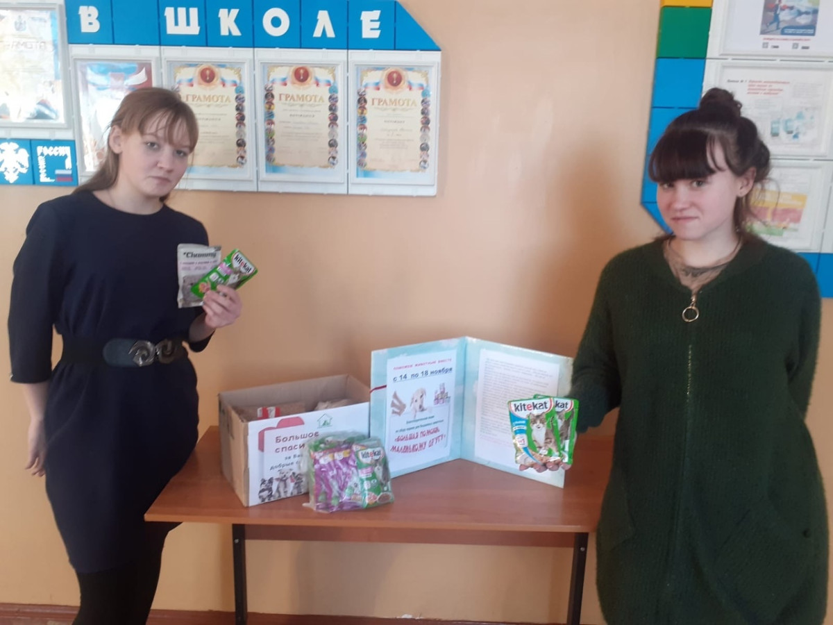 Постер к социальной практике: Забота и помощь