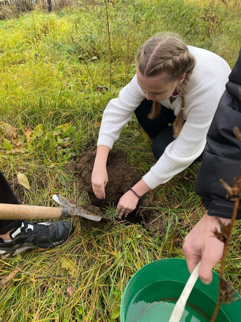 Постер к социальной практике: Зеленая Россия