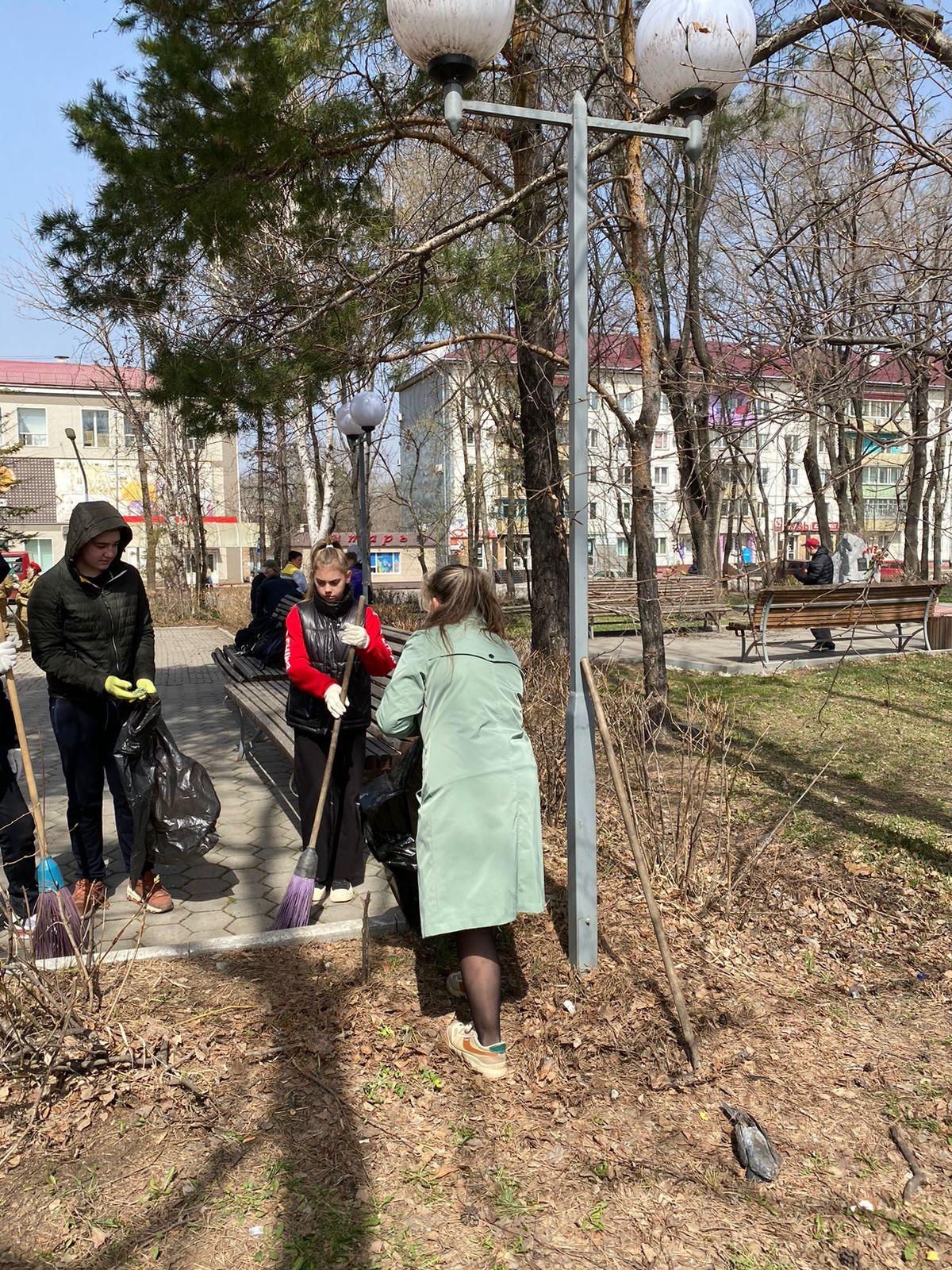 Постер к социальной практике: Парк мечты.