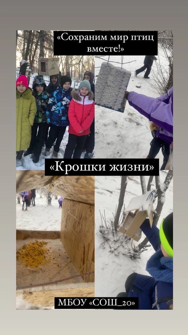 Постер к социальной практике: Сохраним мир птиц вместе!