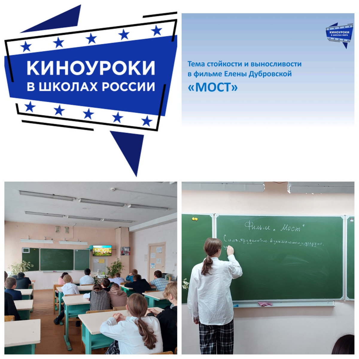 Постер к социальной практике: "Домик для птиц"