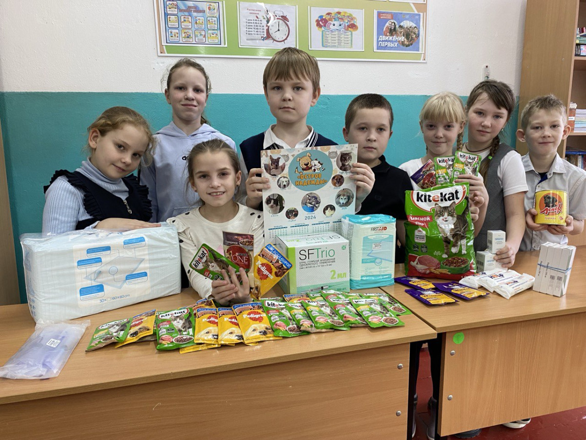 Постер к социальной практике: Большая мечта