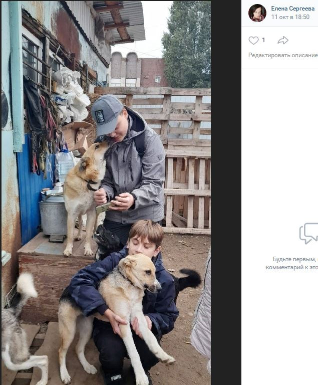Постер к социальной практике: Помощь приюту "Дорога добра"