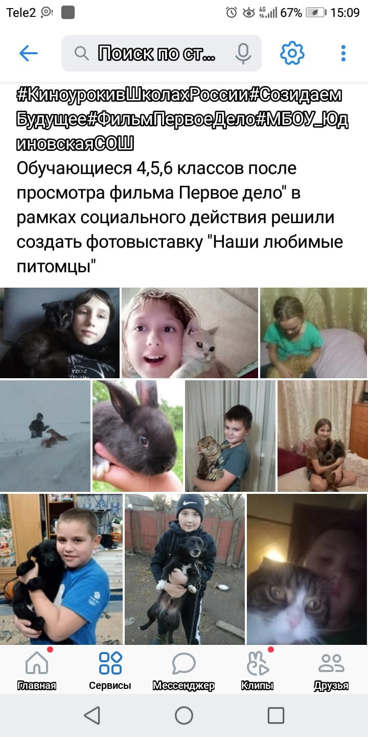Постер к социальной практике: Фотовыставка "Наши любимые питомцы"