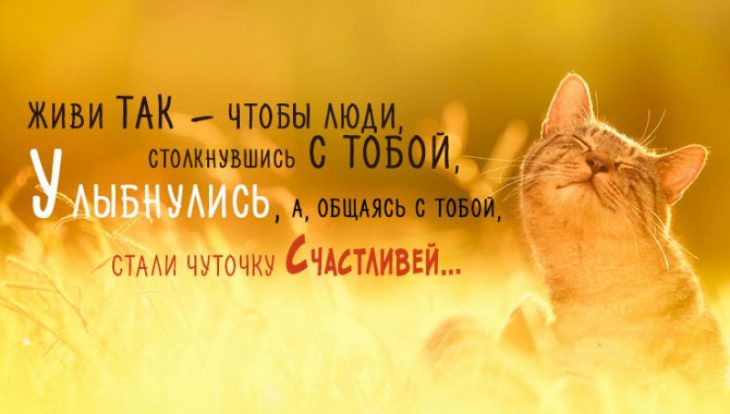 Постер к социальной практике: Понятие счастья в современном мире