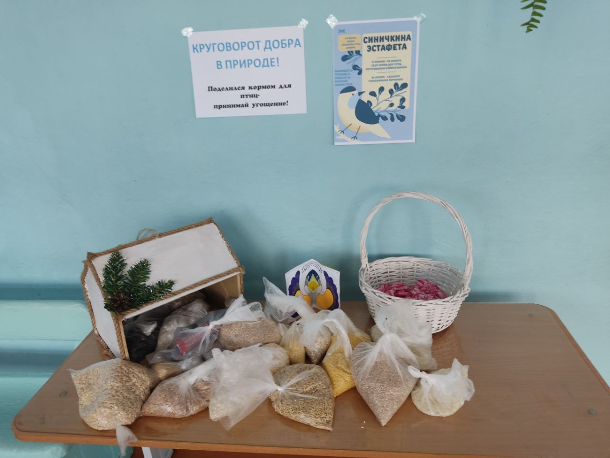 Постер к социальной практике: "Круговорот добра в природе!"